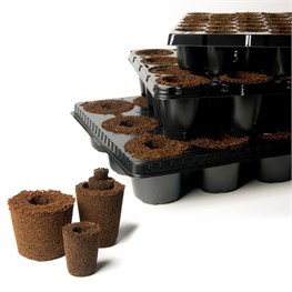 CASSETTA TALEAGGIO COCCO FIBRE NETH ZOLLE CM 2,7X5 - 160 FORI